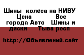 Шины, колёса на НИВУ › Цена ­ 8 000 - Все города Авто » Шины и диски   . Тыва респ.